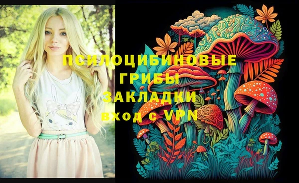кокс Баксан